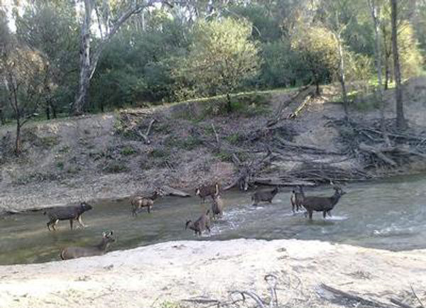 Hunting with Leon Wright