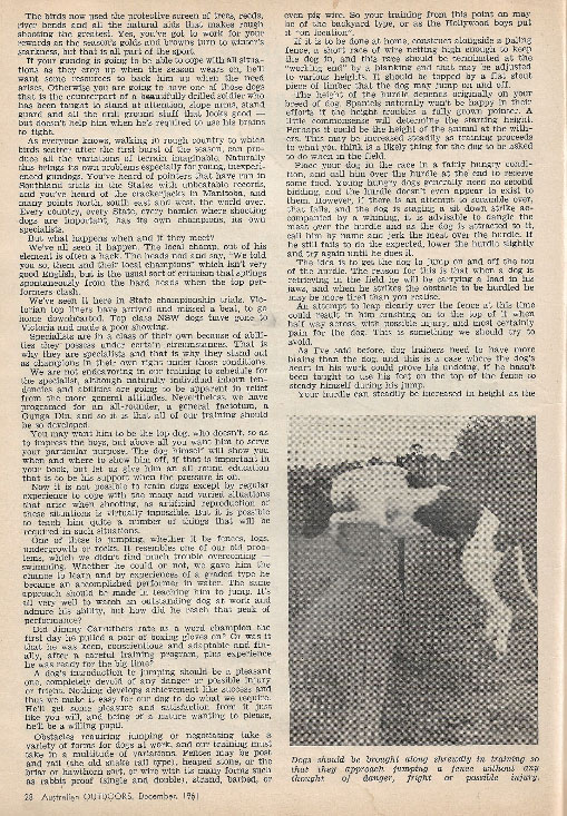 hunting training part 3 2020