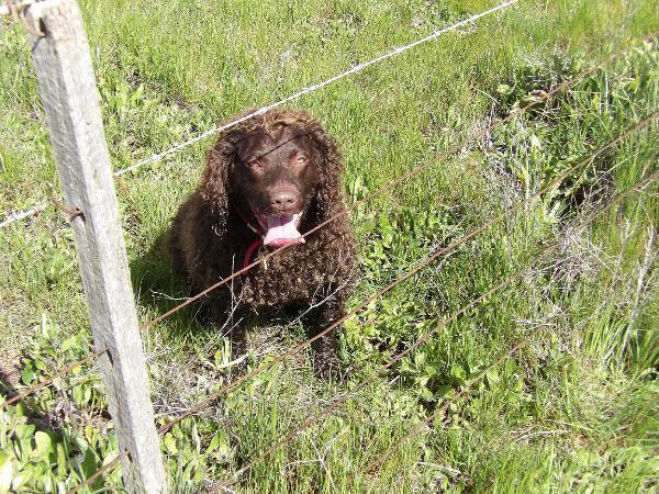 hunting training part 3 2020