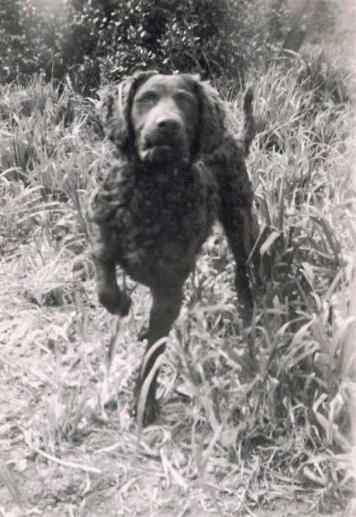 Monty Filby 1951